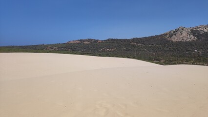 Sand in the dunes of Tarifa .