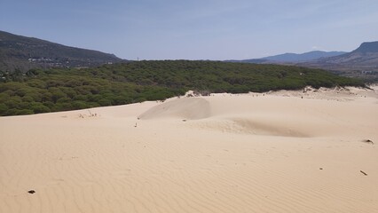 Sand in the dunes of Tarifa .