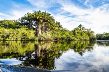 Canoe tour on the Pantanal Marimbus in Andarai, Bahia, Brazil, Chapada Diamantina