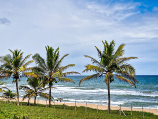 Imbassai beach, Bahia, Brazil. Beautiful beach in the northeast with a river and palm trees.