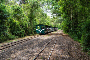 Rainforest Ecological Train at Iguazu Falls National Park in Argentina.
