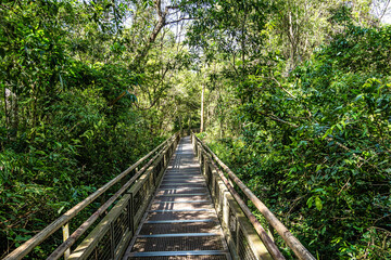Fototapeta premium Path at Iguazu Falls, the largest series of waterfalls of the world, located at the Brazilian and Argentinian border
