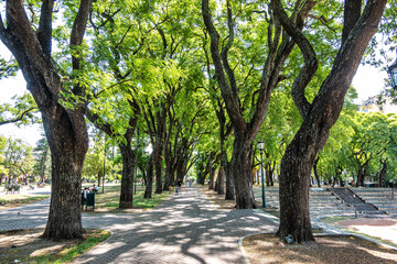 Parque Lezama, Lezama Park, in San Telmo neighborhood at Buenos Aires, Argentina.