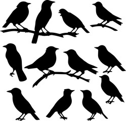 silhuette bird images