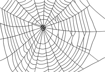 Obraz premium Halloween Spider Web