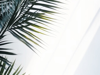 Fototapeta premium Selective focus of palm leaf with shadow and nature lightning on wall background.Tropical and summer pattern.generative ai images
