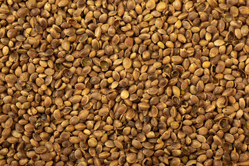 Heap of cannabis seeds close-up. Cannabis replacement as a food supplement, vegetable protein...