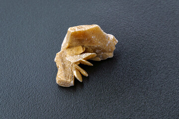 Desert Rose. Natural mineral close up of stone cluster from sand gypsum crystal, black background