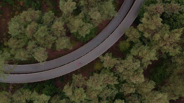 Aerial view of Fietsen door de Bomen, a walking and cycling path in the trees, Hechtel-Eksel, Limburg, Belgium.