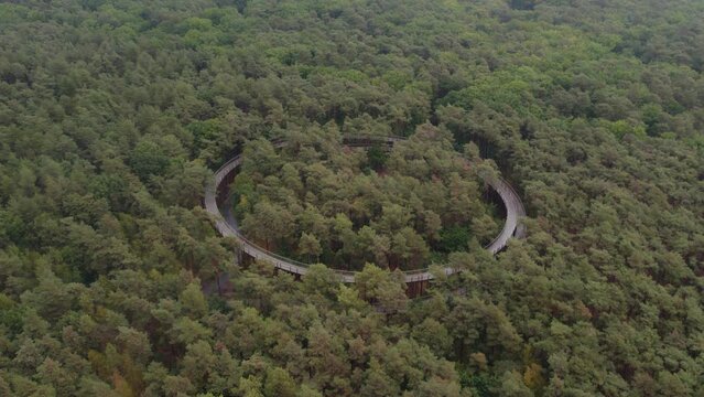Wide shot of Fietsen door de bomen at Lommel Belgie, aerial
