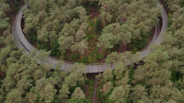 Reveal shot of Fietsen door de bomen cycling path during day time, aerial