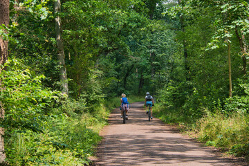 Radfahrer auf dem idyllischen Gorinsee-Rundweg durch den schattigen Mischwald im Sommer, Wandlitz-Sch&ouml;nwalde, Brandenburg, Deutschland