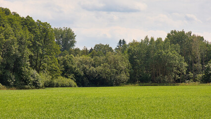 Rundweg um der Gorinsee, Wandlitz, Ortsteil Schönwalde, Brandenburg, Deutschland