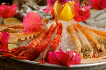 The delicious plate appetizer with rare delicacy raw shrimps from Sicily and Morocco on the ice decorated with lime and flowers 