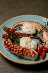 Delicacy of boiled huge octopus tentacles with mozzarella of buffalo and branch of rosemarie 