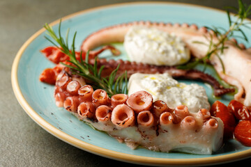 Top macro view of delicacy of boiled huge octopus tentacles with mozzarella of buffalo and branch of rosemarie 