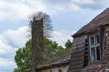 Fototapeta na wymiar a chimney with remains of dried dead ivy climbing on it