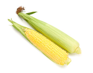 Fresh corn cobs on white background