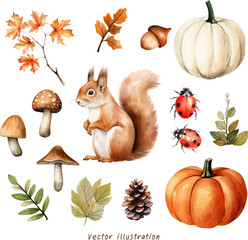 Fototapeta watercolor set of autumn pumpkin maple ornament elements vector illustration obraz