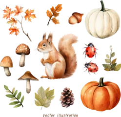 Foto op Canvas watercolor set of autumn pumpkin maple ornament elements vector illustration © Salindar