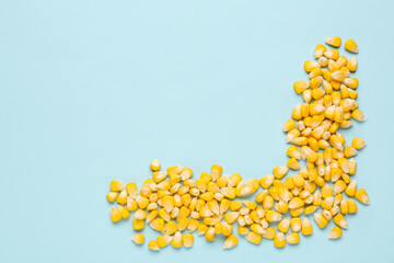 Fresh corn seeds on blue background