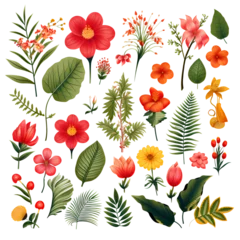 Fototapeten tropical flowers and leaves. clipart, decor element © Anastasiya