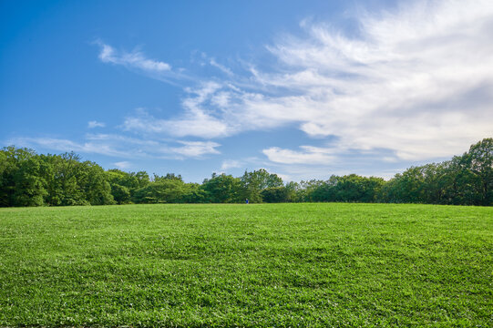 青空と芝生のパノラマ風景