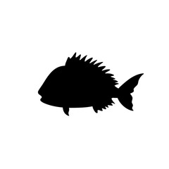 Fish vector silhouette