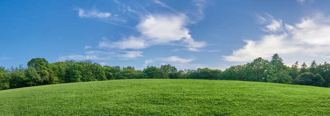 青空と芝生のパノラマ風景 - 620142843