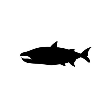 recommend clip art: Fish vector silhouette