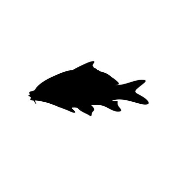 recommend clip art: Fish vector silhouette