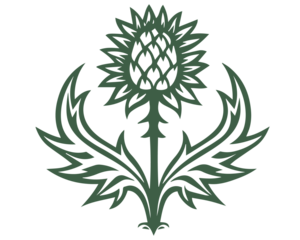 Thistle prickly herbaceous plants print tattoo logo simbol 