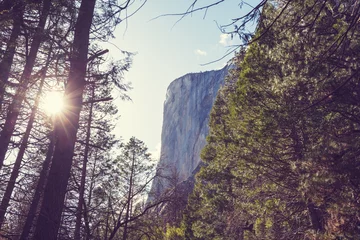  Yosemite © Galyna Andrushko