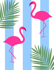 pink flamingo in the water