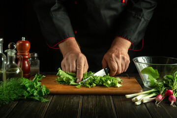 Professional chef prepares a salad in the restaurant kitchen. Close-up of a cook hands cutting...