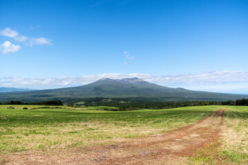 牧草地から望む駒ヶ岳