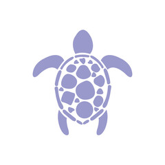 Obraz premium turtle isolated on white