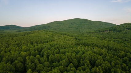 Aerial view of the Mountain range and tall forest near to the river at incredible summer cloud evening with horizon, color