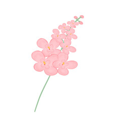 Fototapeta premium pink flower