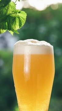 Pouring fresh cold beer into a glass. Oktoberfest concept
