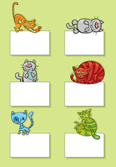 cartoon cats and kittens with cards design set