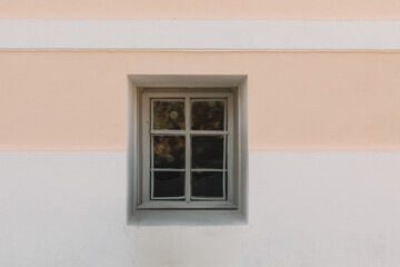 Pink wall with pretty old vintage window with flowerpot, plants and looking like beautiful texture. White window with pink wall.