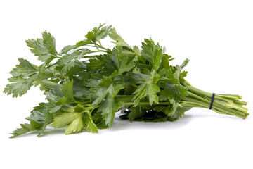 Green parsley isolated on white