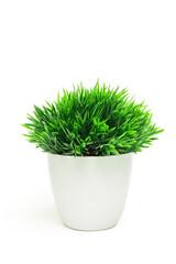 Artificial grass in white pot isolated on white background.