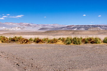 Puna - off road adventure on the way to the Campo de Piedra Pómez, a bizarre but beautiful...