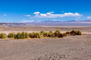 Puna - off road adventure on the way to the Campo de Piedra Pómez, a bizarre but beautiful landscape with a field of pumice, volcanic rocks and dunes of sand in the north of Argentina, South America 