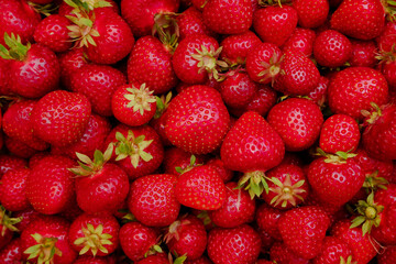Strawberry. Fresh organic berries macro. Fruit background