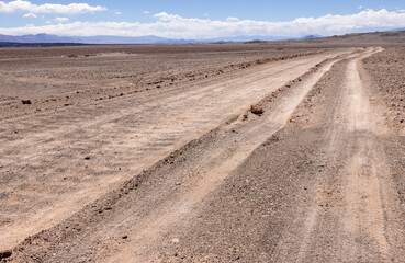 Puna - off road adventure on the way to the Campo de Piedra Pómez, a bizarre but beautiful...