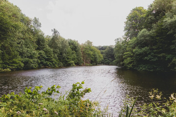 Mölledammarna Skåne in Sweden 2023.