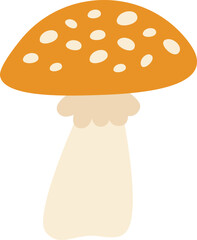 Destroying Angel Mushroom